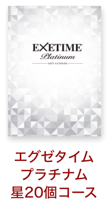 エグゼタイム プラチナム星20個コース